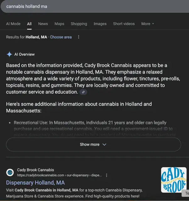 google ai search result