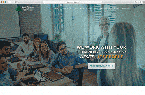 computer screen with Ahern, Murphy & Associates website displayed