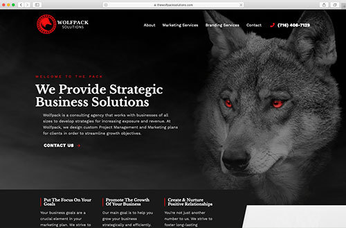 computer screen with Wolfpack Solutions website displayed